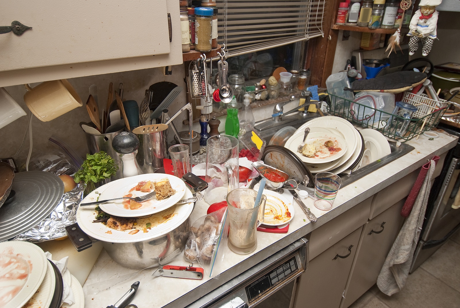 My roommate dosen't dry the dishes : r/mildlyinfuriating